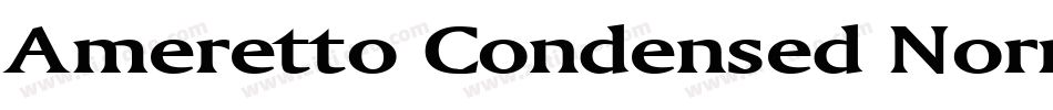 Ameretto Condensed Normal字体转换